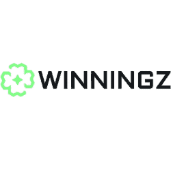 About Winningz Casino Website