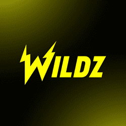 Wildz Casino image banner