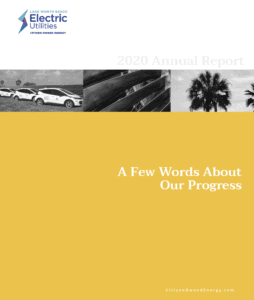 Annual report cover