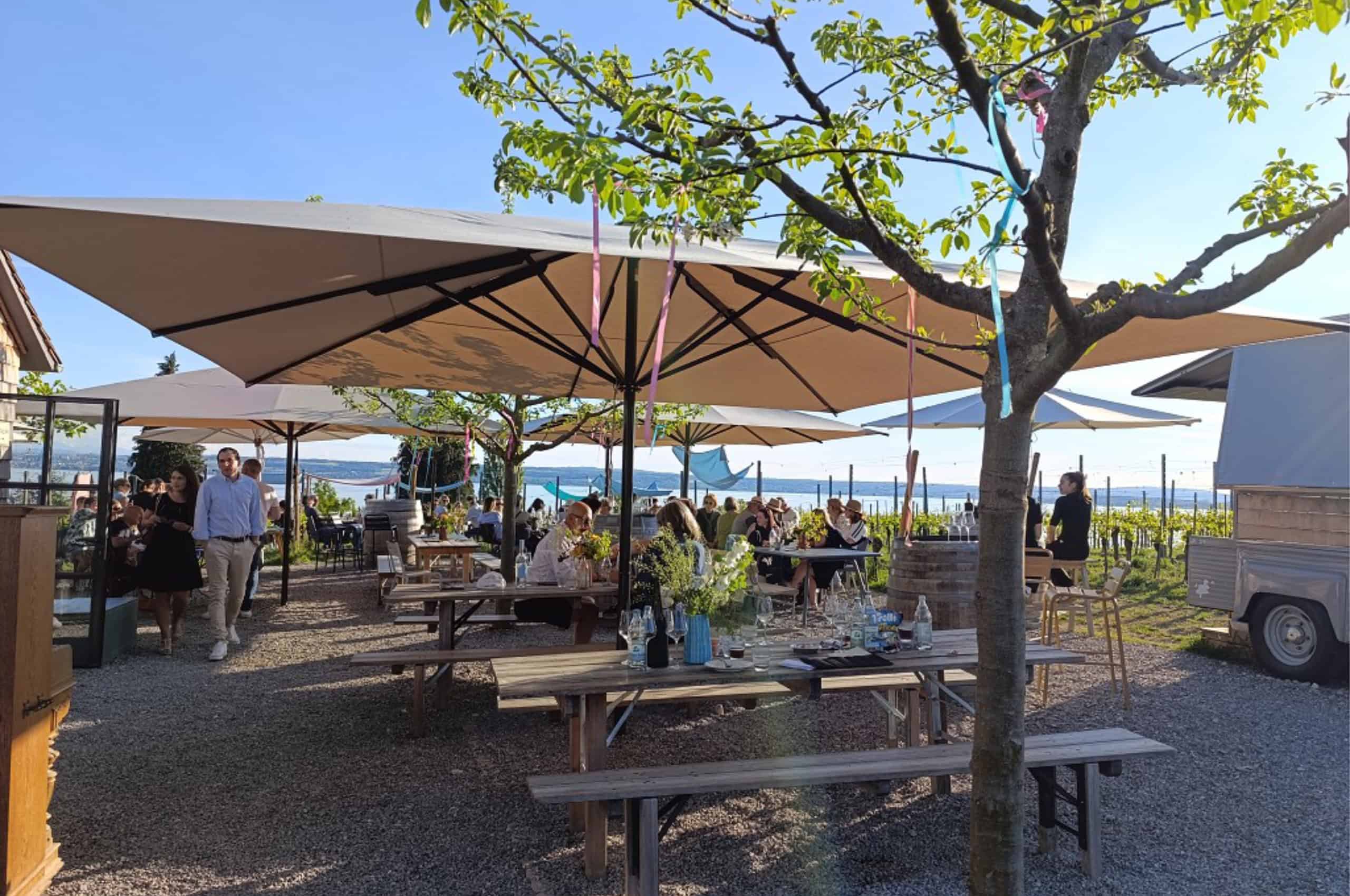 Foto: Exkursion Bodensee © ver.de