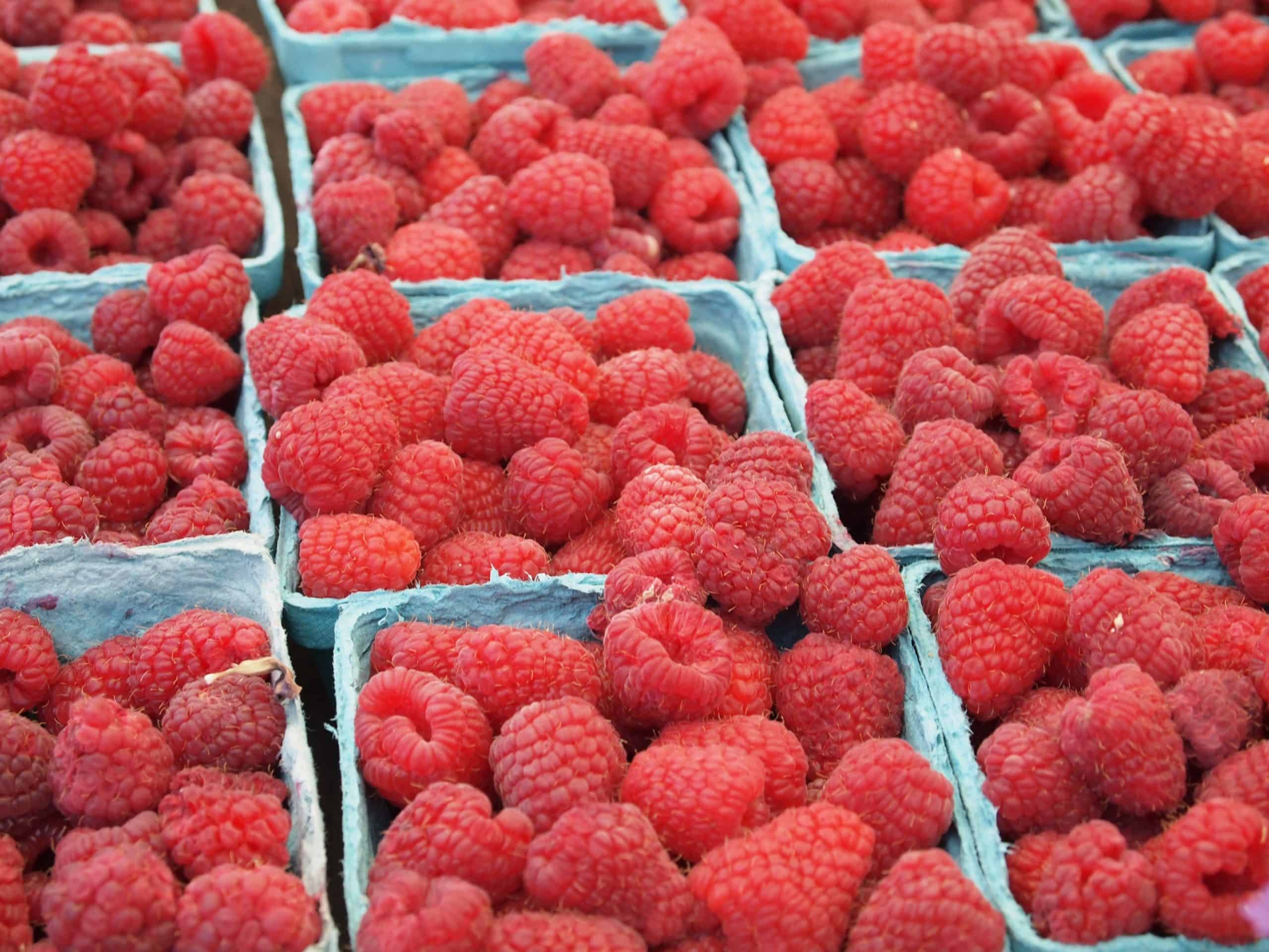 Read more about the article Röd yoghurtklämmis