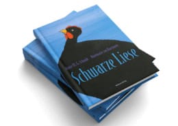 Buchtitel Kinderbuch »Schwarze Liese«