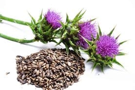 Silymarin Milk Thistle