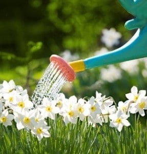 Watering Can