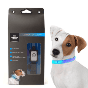LED Light Up Dog Collar