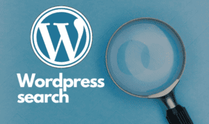 Wordpress search