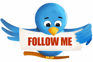 Twitter Follow Me Bird