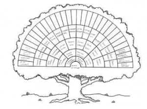 Genealogy Tree