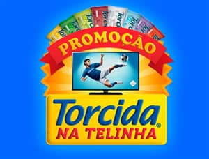 PROMOÇÃO TORCIDA NA TELINHA - WWW.TORCIDANATELINHA.COM.BR