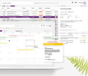 program dla firm dla biznesu