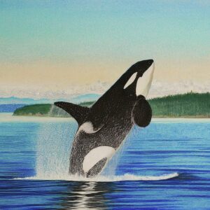 orca