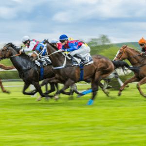 Eventify Virtual Horse Racing event OAG 5