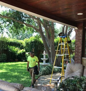 The Woodlands TX Mosquito Control