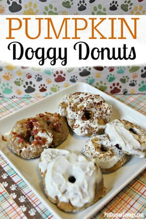 Pumpkin Doggy Donuts