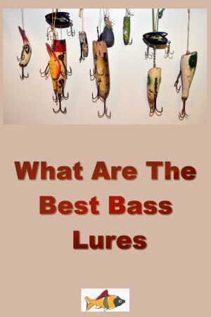 What Are The Best Bass Lures