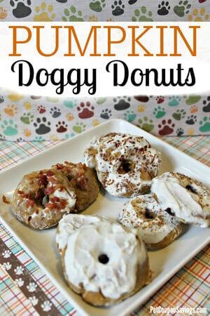 Pumpkin Doggy Donuts