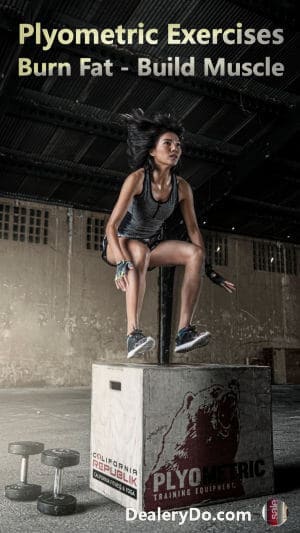 Plyometric Exercises Burn Fat Build Muscle