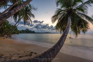 Costa Rica Travel Guide