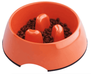 Our Favourite Dog Products from Scentsy and Elsewhere! 2022 Our Favourite Dog Products