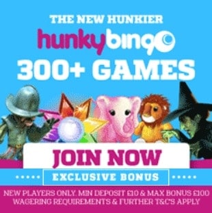 Hunky Bingo free spins