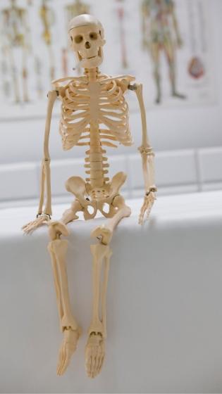 seated skeleton