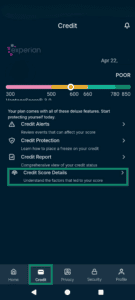The Identity Defender Credit tab, highlighting the Credit Score Details field.