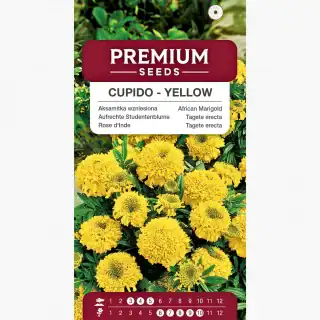 Peiulill "Cupido Yellow"