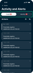 Identity Defender "Activity and Alerts" menu showing a notification highlighted.