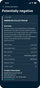 Identity Defender alert details.