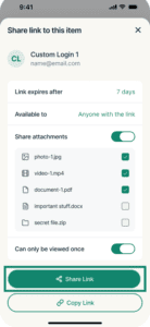 The "Share Link" button highlighted in the "Share link to this item" page in the ExpressKeys app.