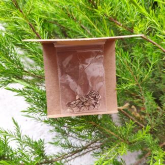 Sobre de semillas Heirloom