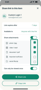 The checkboxes for the attachments of a vault item in the "Sahre link to this item" window in ExpressKeys.