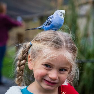 Ashlynn not sure about the bird