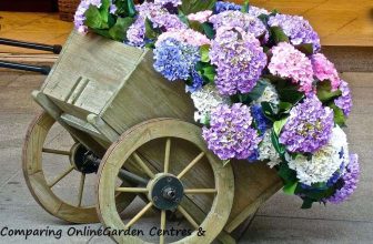 The best online garden centres