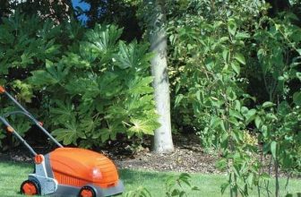 Lawn scarify and lawn raking