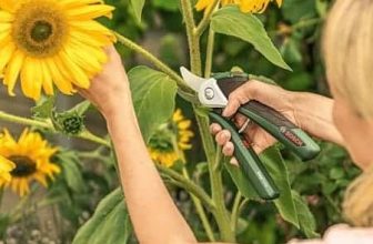 power assisted pruners