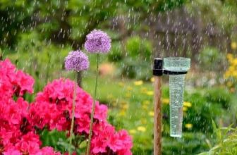 what is a rain gauge