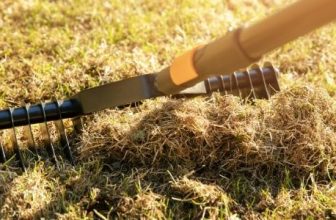 lawns scarifiers for small lawns and small gardens