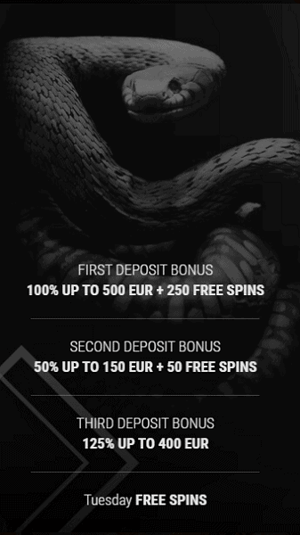 10 free spins bonus no deposit required