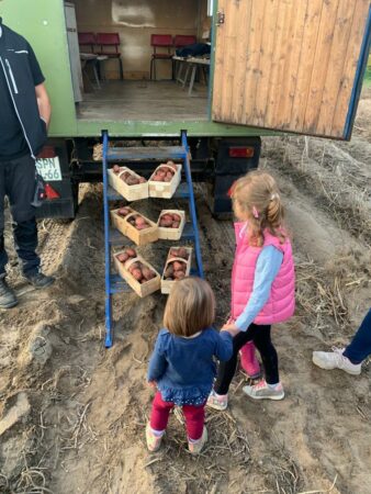 Herbstfeuer in Schenkendöbern 1 Zwei Kinder vor Körben mit Kartoffeln