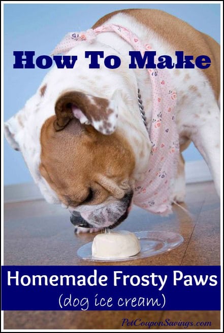 homemade frosty paws