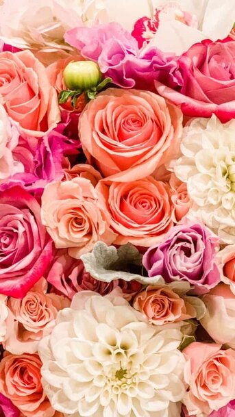 Colorful flowers wallpaper aesthetic, pink flower wallpaper iPhone