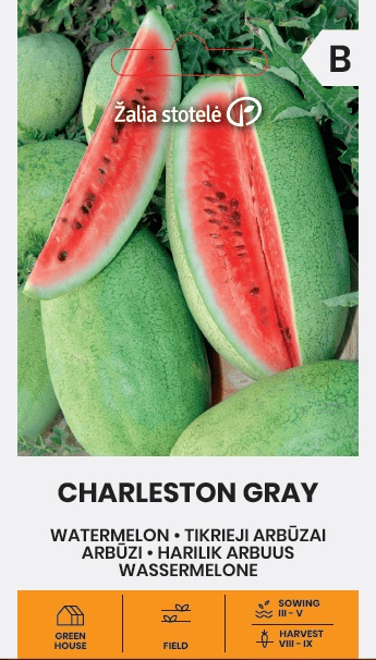 Arbuus "Charleston Grey"