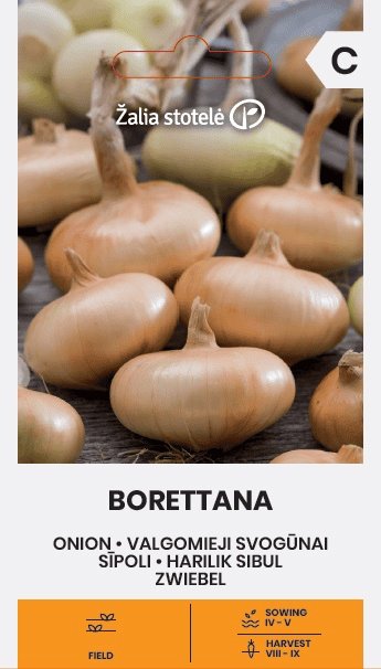Sibul "Borettana"