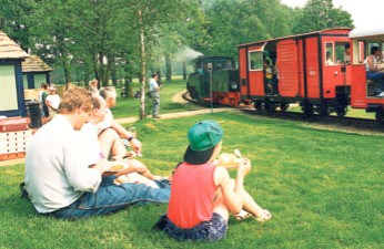 Bilder aus dem alten Cottbus: Schöne Erinnerungen für viele Leser 2 DW2