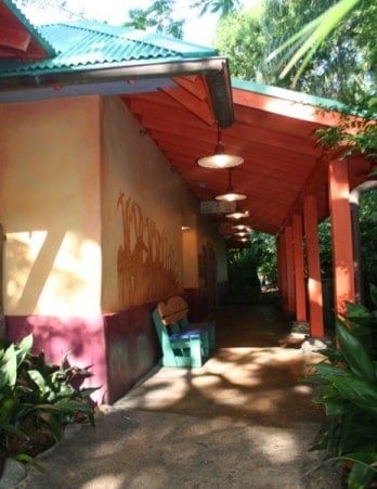 animal kingdom, baby care center