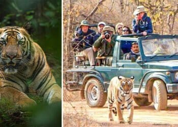Bandhavgarh National Park