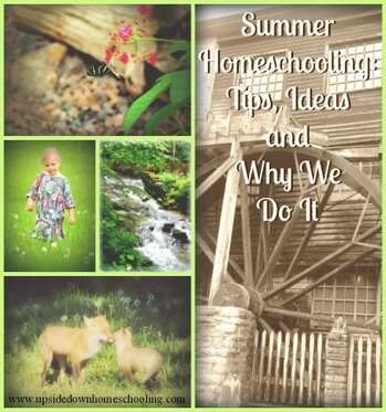 Summer Homeschool tips and ideas