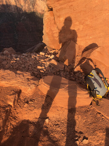 shadow self, best self