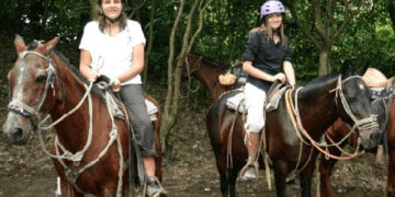 Horses1